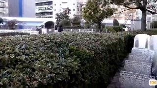 《稍息立正我爱你》全集-电视剧-免费在线观看